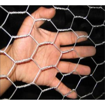 Hexagonal malha de fio de malha rede de compensação cerca (XM4-2)